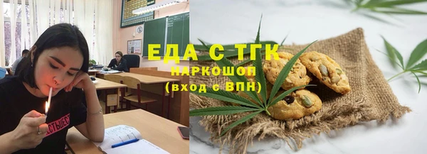 прущие грибы Гусиноозёрск