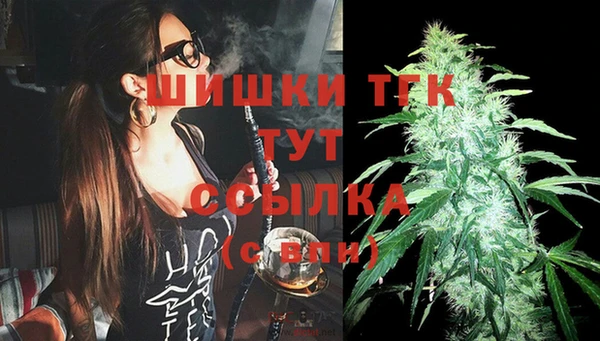 твердый Гусь-Хрустальный