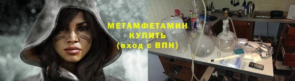 прущие грибы Гусиноозёрск