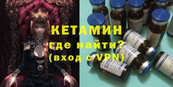 прущие грибы Гусиноозёрск
