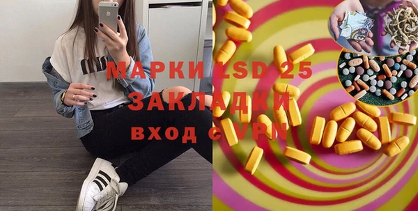 прущие грибы Гусиноозёрск