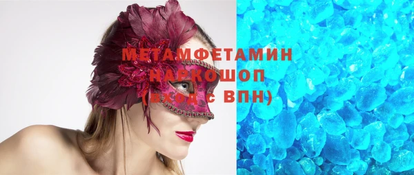 прущие грибы Гусиноозёрск