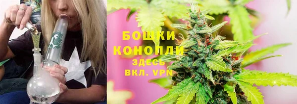 прущие грибы Гусиноозёрск