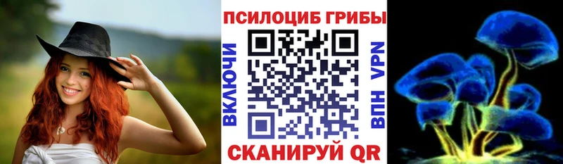 Галлюциногенные грибы Magic Shrooms  купить  сайты  Котельнич 